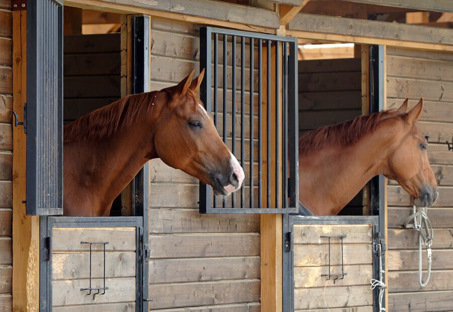 horse-stables