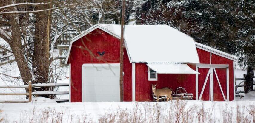 Tips on How Winterise Your Shed