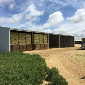 20m x 12m x 4m Open Front Machinery Shed | Action Sheds