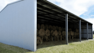 rural rural