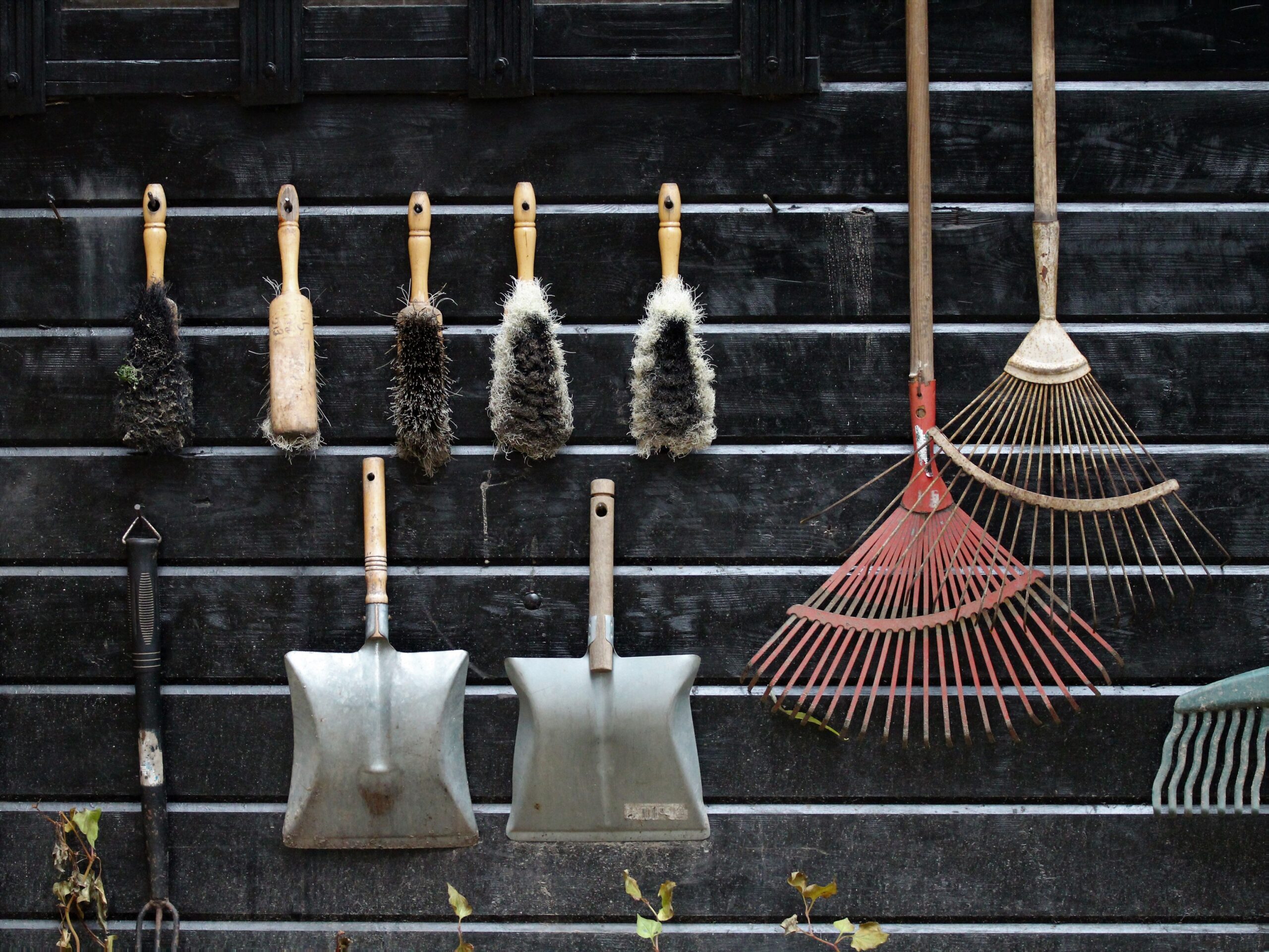shed maintenance